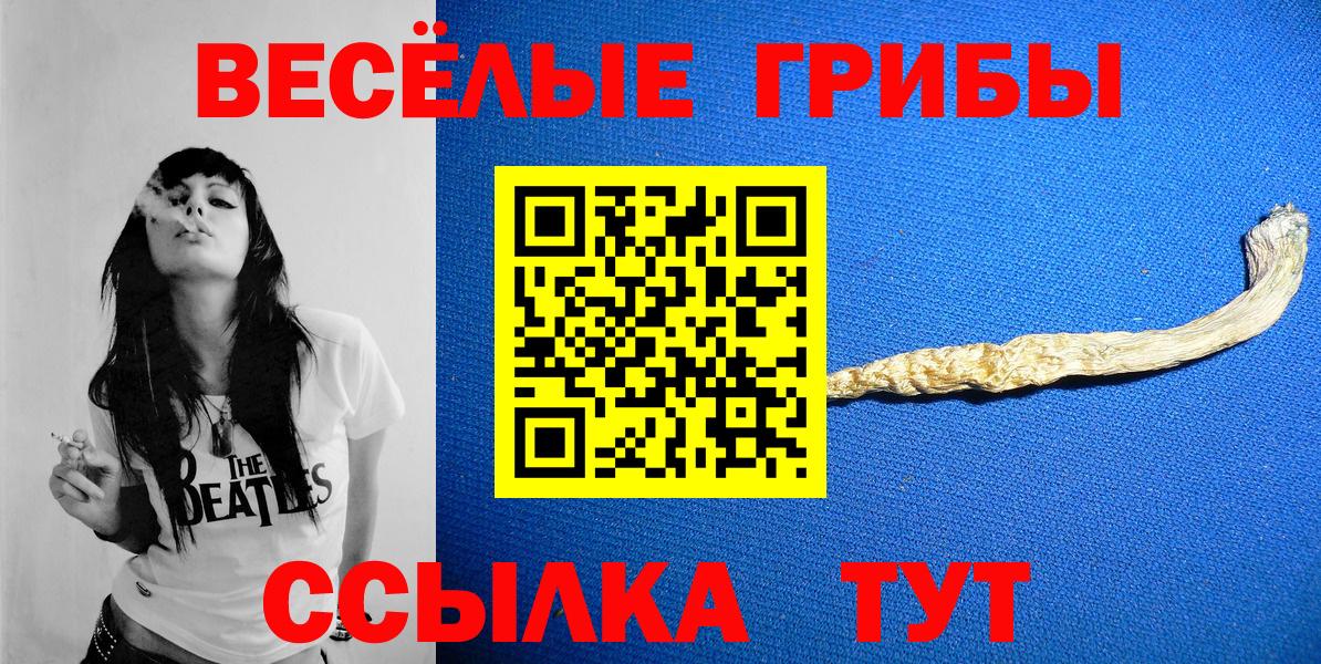 Ачхой-Мартан  Галлюциногенные грибы Psilocybe  где найти   Вход с VPN  Псилоцибиновые грибы Psilocybe 
